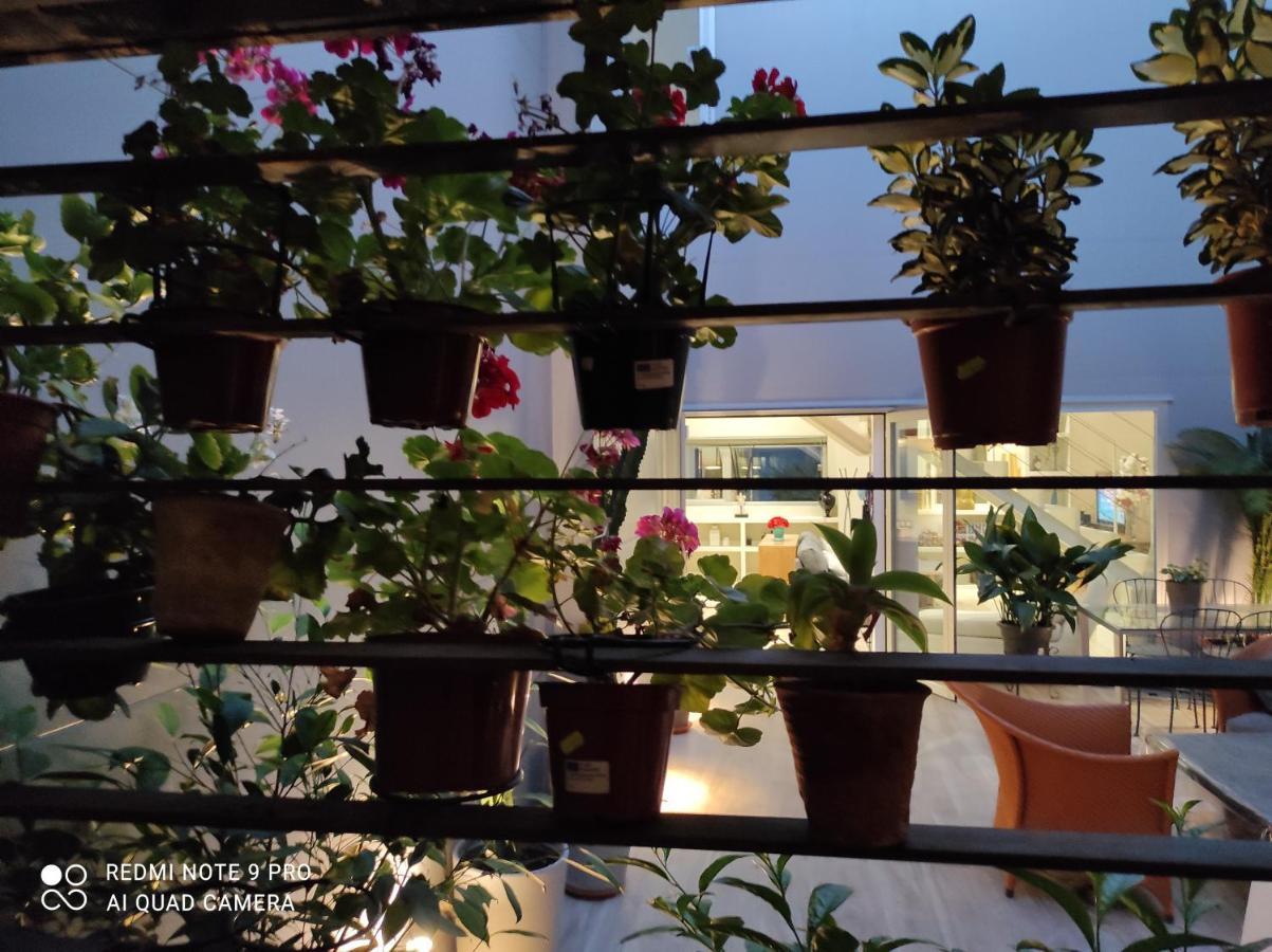 Habitacion Y Bano En Planta Independiente En Centro De Sevilla Dış mekan fotoğraf